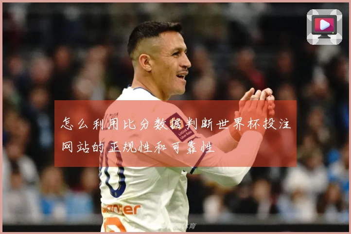 怎么利用比分数据判断世界杯投注网站的正规性和可靠性