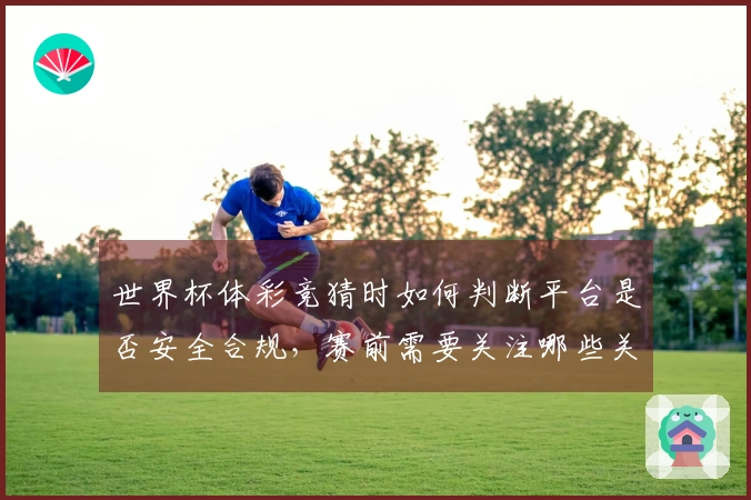 世界杯体彩竞猜时如何判断平台是否安全合规，赛前需要关注哪些关键点？