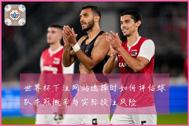 世界杯下注网站选择时如何评估球队夺冠概率与实际投注风险