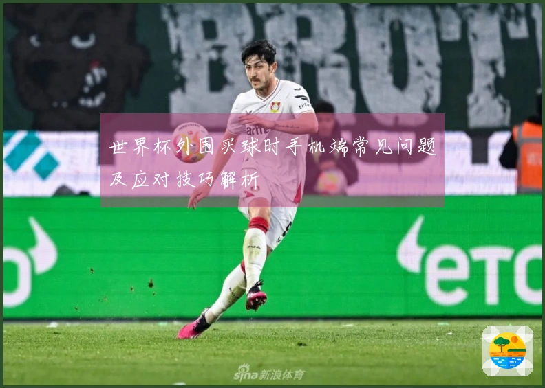 世界杯外围买球时手机端常见问题及应对技巧解析