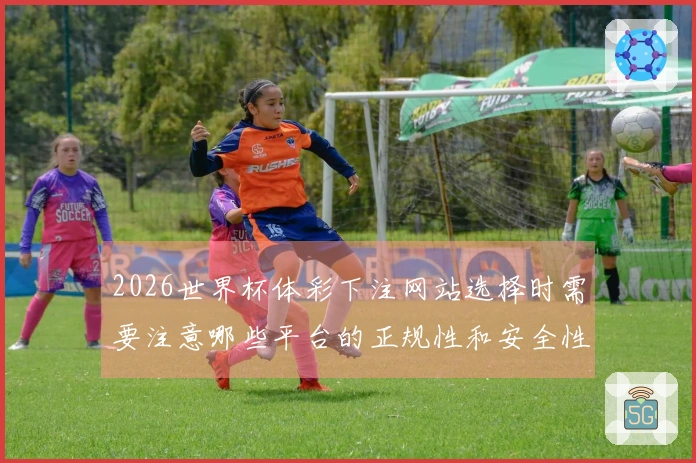 2026世界杯体彩下注网站选择时需要注意哪些平台的正规性和安全性