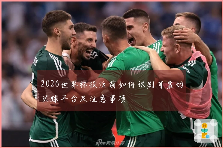 2026世界杯投注前如何识别可靠的买球平台及注意事项