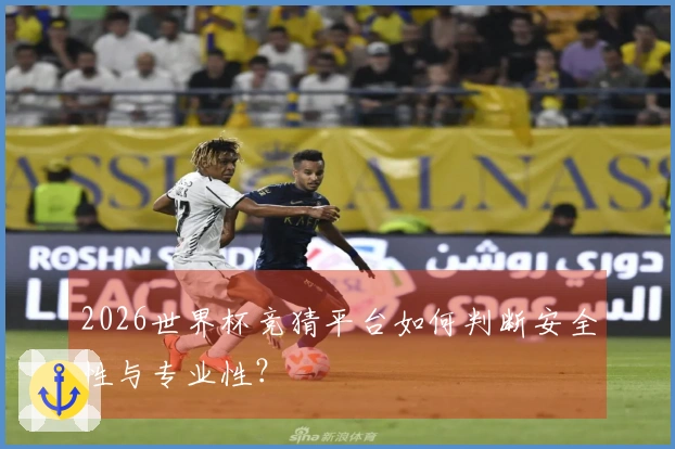 2026世界杯竞猜平台如何判断安全性与专业性？