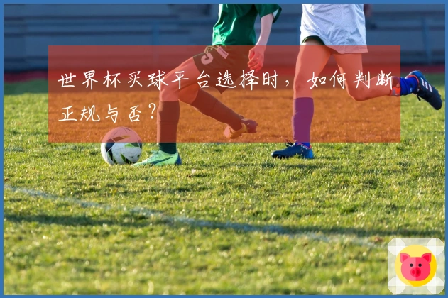 世界杯买球平台选择时，如何判断正规与否？