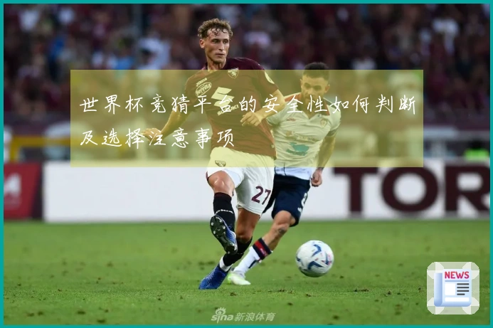 世界杯竞猜平台的安全性如何判断及选择注意事项