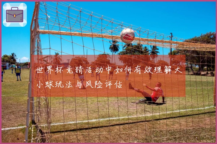 世界杯竞猜活动中如何有效理解大小球玩法与风险评估
