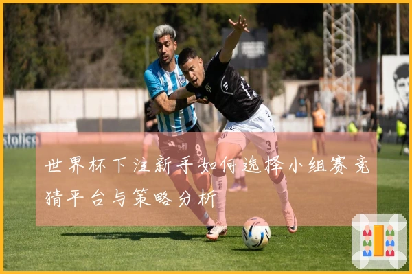 世界杯下注新手如何选择小组赛竞猜平台与策略分析