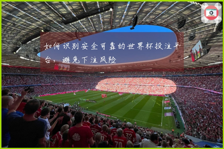 如何识别安全可靠的世界杯投注平台，避免下注风险