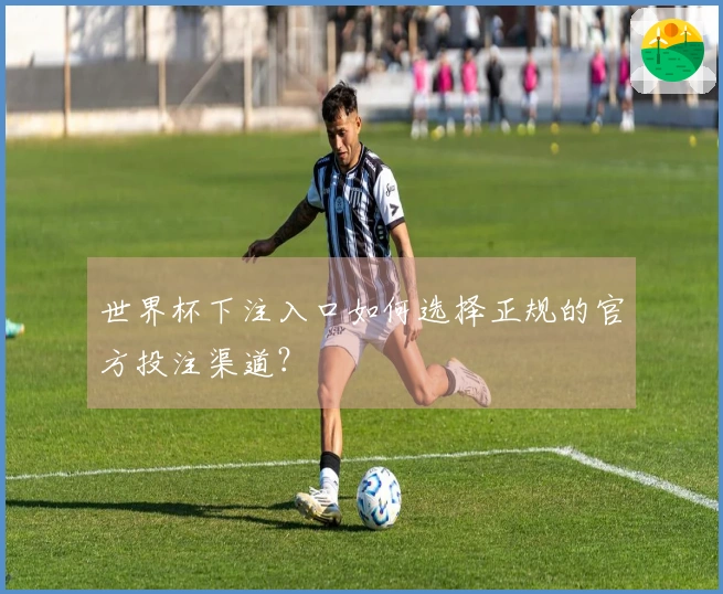 世界杯下注入口如何选择正规的官方投注渠道？
