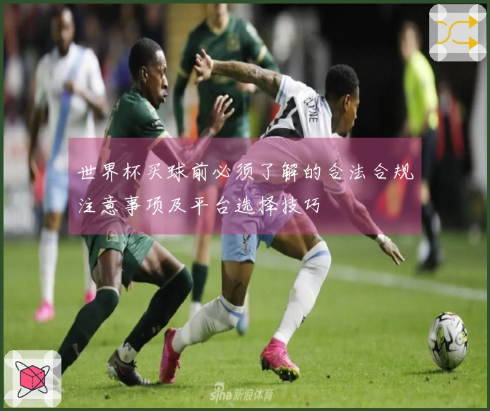 世界杯买球前必须了解的合法合规注意事项及平台选择技巧