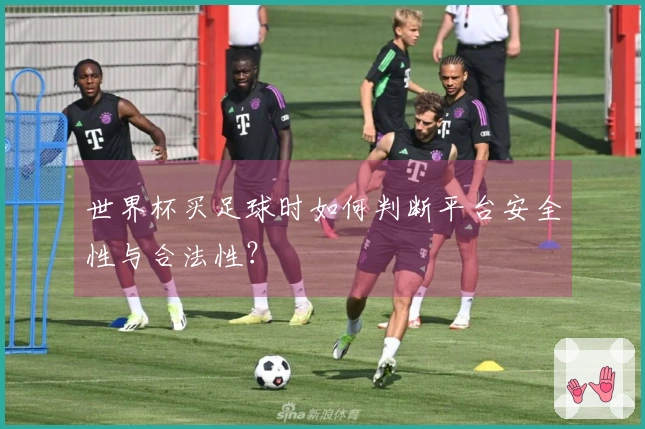 世界杯买足球时如何判断平台安全性与合法性？