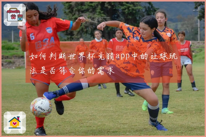 如何判断世界杯竞猜app中的让球玩法是否符合你的需求