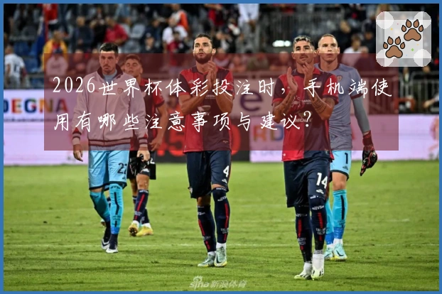 2026世界杯体彩投注时，手机端使用有哪些注意事项与建议？