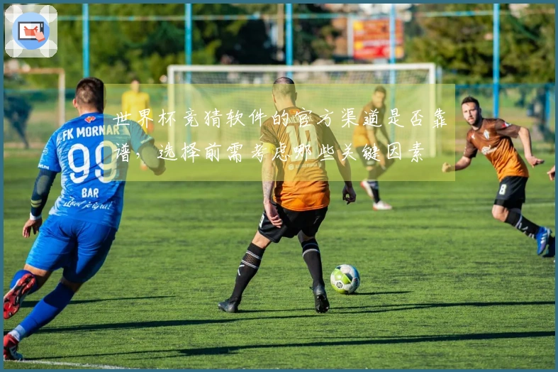 世界杯竞猜软件的官方渠道是否靠谱，选择前需考虑哪些关键因素