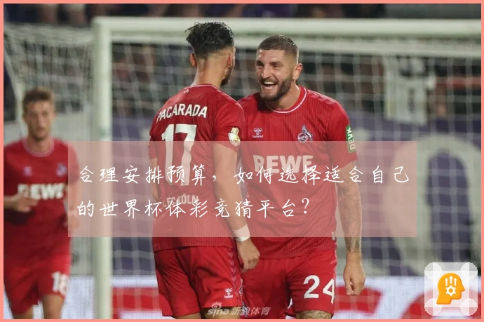 合理安排预算，如何选择适合自己的世界杯体彩竞猜平台？