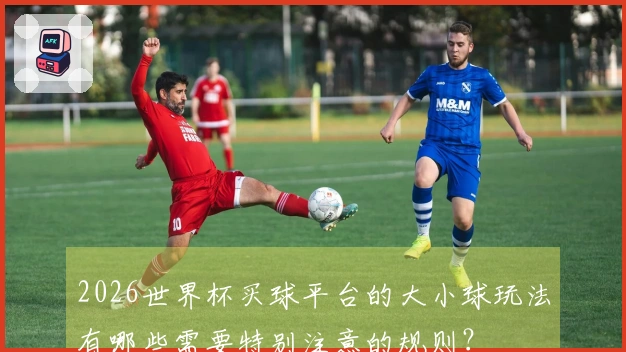2026世界杯买球平台的大小球玩法有哪些需要特别注意的规则？