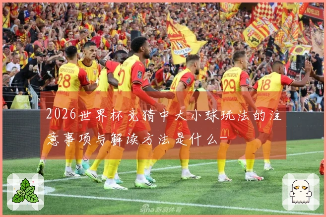 2026世界杯竞猜中大小球玩法的注意事项与解读方法是什么-