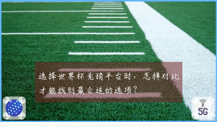 选择世界杯竞猜平台时，怎样对比才能找到最合适的选项？