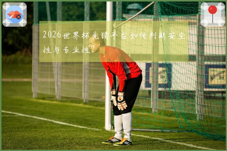 2026世界杯竞猜平台如何判断安全性与专业性？