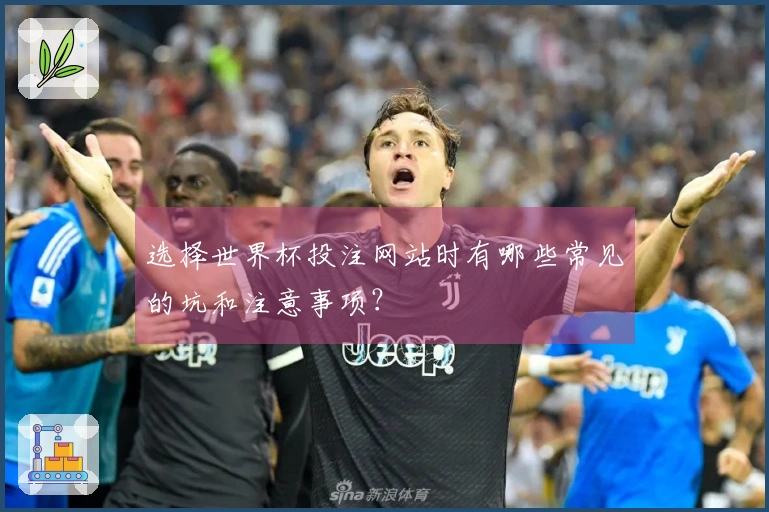 选择世界杯投注网站时有哪些常见的坑和注意事项？