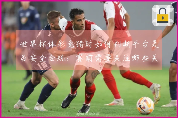 世界杯体彩竞猜时如何判断平台是否安全合规，赛前需要关注哪些关键点？