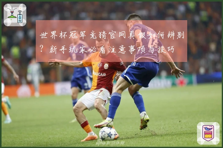 世界杯冠军竞猜官网真假如何辨别？新手玩家必看注意事项与技巧