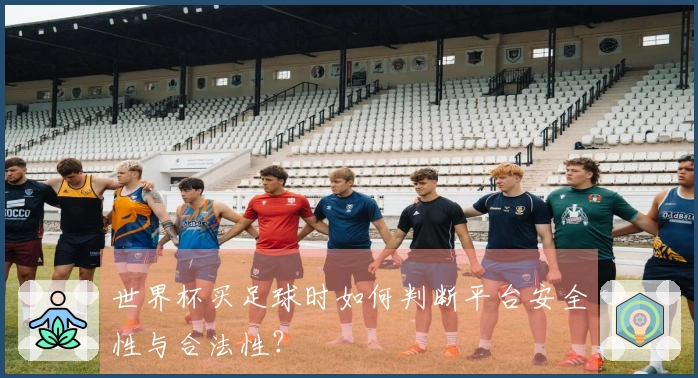 世界杯买足球时如何判断平台安全性与合法性？