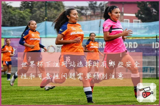 世界杯下注网站选择时有哪些安全性和可靠性问题需要特别注意