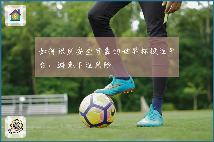 如何识别安全可靠的世界杯投注平台，避免下注风险