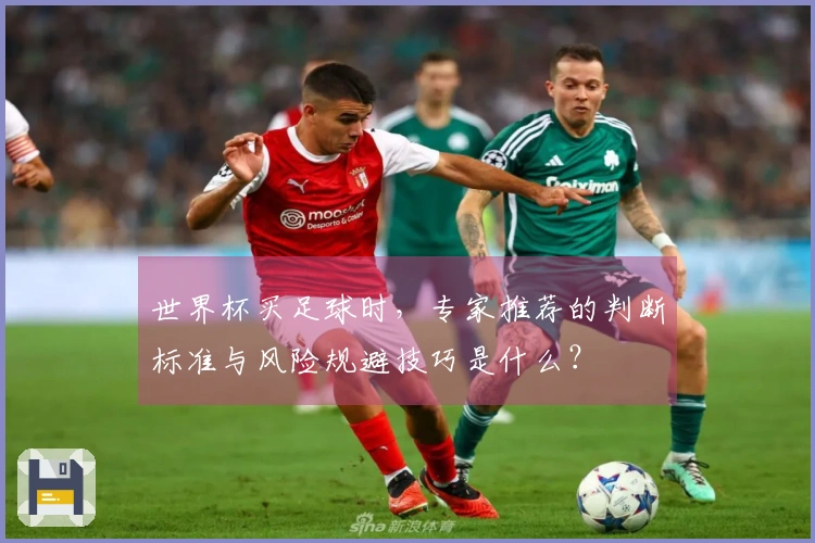 世界杯买足球时，专家推荐的判断标准与风险规避技巧是什么？