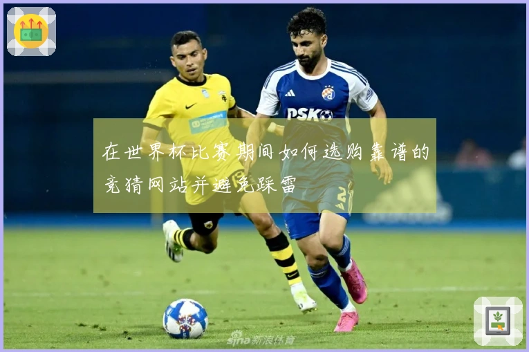 在世界杯比赛期间如何选购靠谱的竞猜网站并避免踩雷