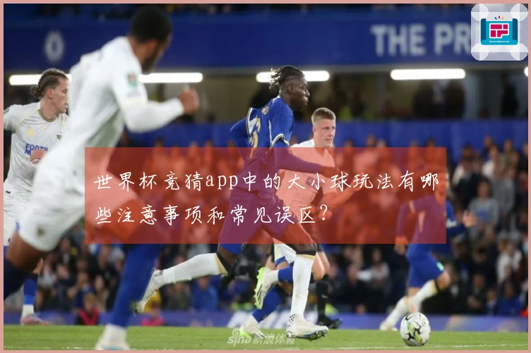 世界杯竞猜app中的大小球玩法有哪些注意事项和常见误区？