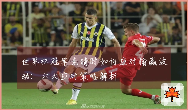 世界杯冠军竞猜时如何应对输赢波动：六大应对策略解析