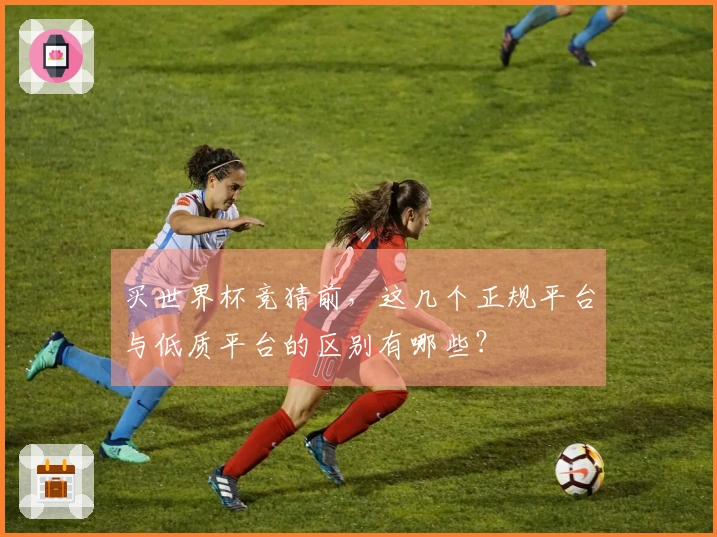 买世界杯竞猜前，这几个正规平台与低质平台的区别有哪些？