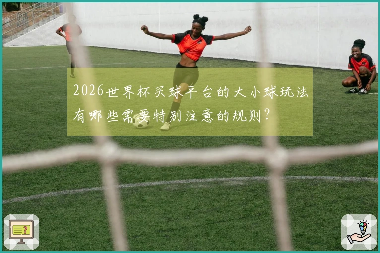 2026世界杯买球平台的大小球玩法有哪些需要特别注意的规则？