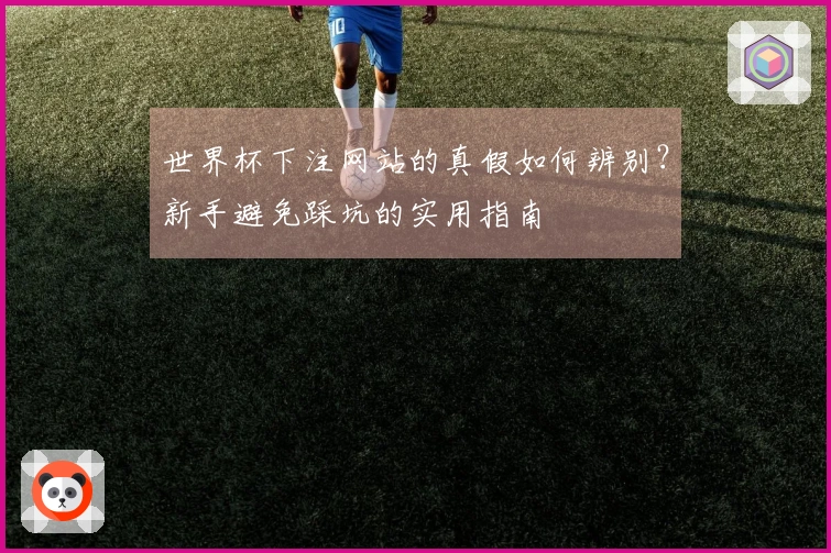 世界杯下注网站的真假如何辨别？新手避免踩坑的实用指南