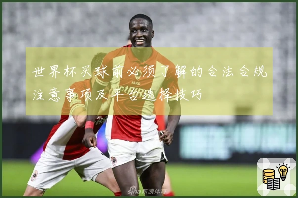 世界杯买球前必须了解的合法合规注意事项及平台选择技巧