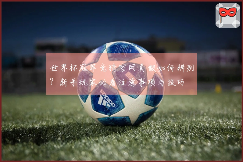 世界杯冠军竞猜官网真假如何辨别？新手玩家必看注意事项与技巧