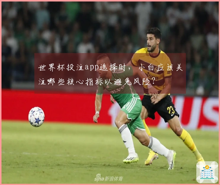 世界杯投注app选择时，小白应该关注哪些核心指标以避免风险？