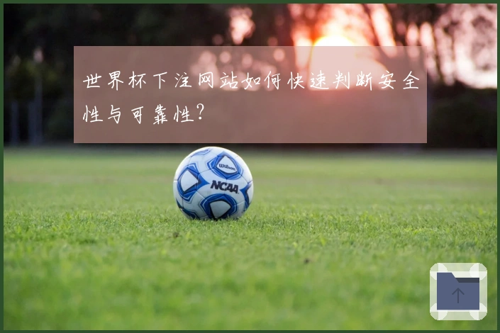 世界杯下注网站如何快速判断安全性与可靠性？