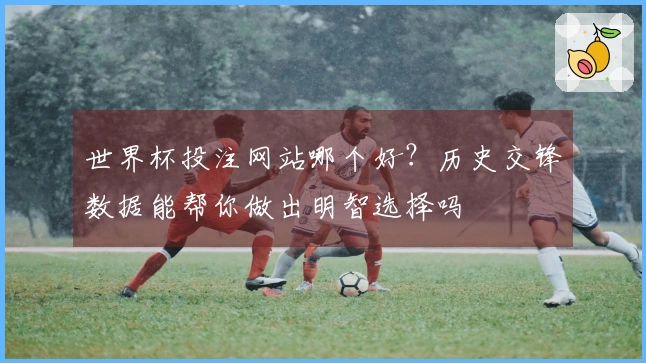 世界杯投注网站哪个好？历史交锋数据能帮你做出明智选择吗