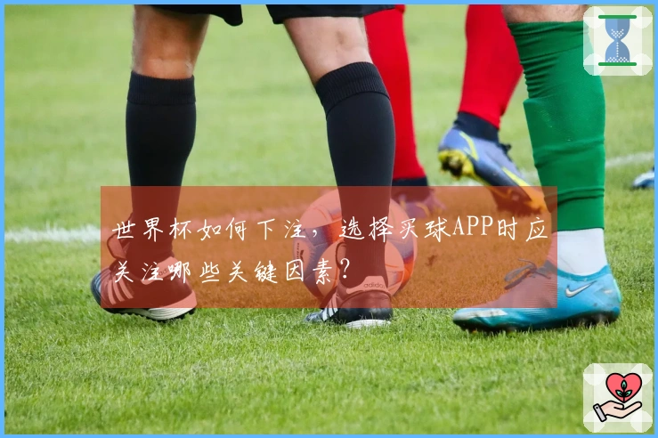 世界杯如何下注，选择买球APP时应关注哪些关键因素？