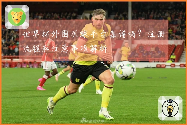世界杯外围买球平台靠谱吗？注册流程和注意事项解析