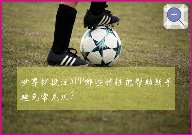 世界杯投注APP哪些特性能帮助新手避免常见坑？