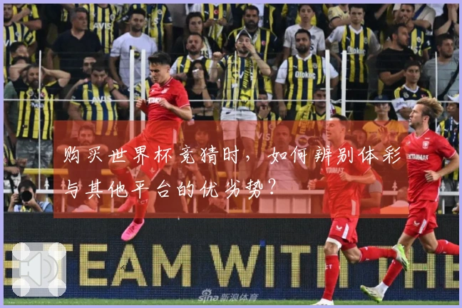 购买世界杯竞猜时，如何辨别体彩与其他平台的优劣势？