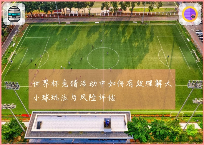 世界杯竞猜活动中如何有效理解大小球玩法与风险评估