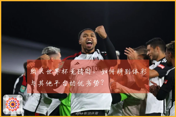 购买世界杯竞猜时，如何辨别体彩与其他平台的优劣势？