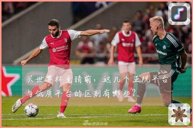 买世界杯竞猜前，这几个正规平台与低质平台的区别有哪些？