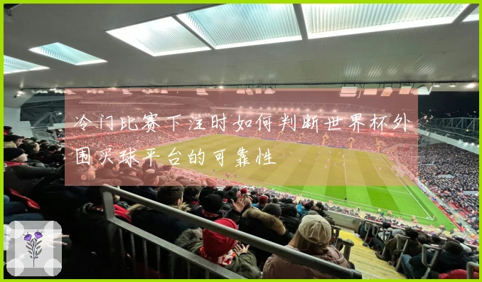 冷门比赛下注时如何判断世界杯外围买球平台的可靠性