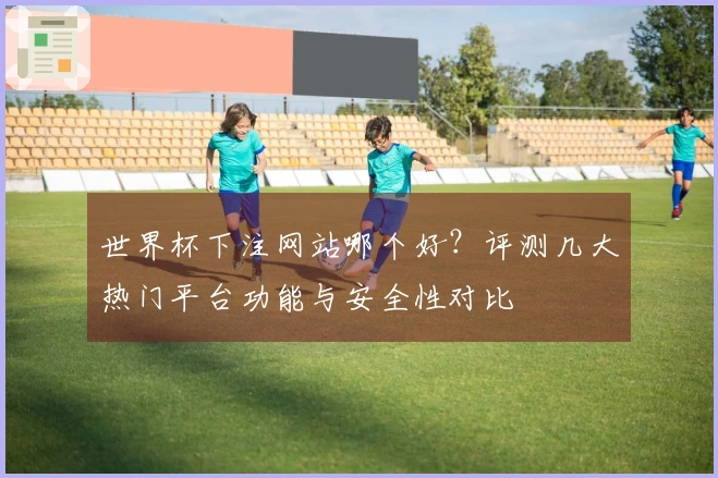 世界杯下注网站哪个好？评测几大热门平台功能与安全性对比